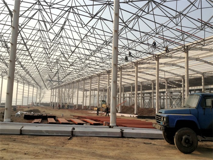 六安网架架构工程